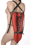 Red Arm Binder