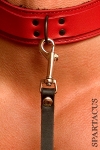 Paire d'attaches Swivel Clips