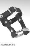 Locking Cock Harness