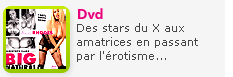 DVD : Des stars du X aux amatrices en passant par l'�rotisme, la luxure ou l'extr�me, voici notre s�lection de DVD X pour adultes.